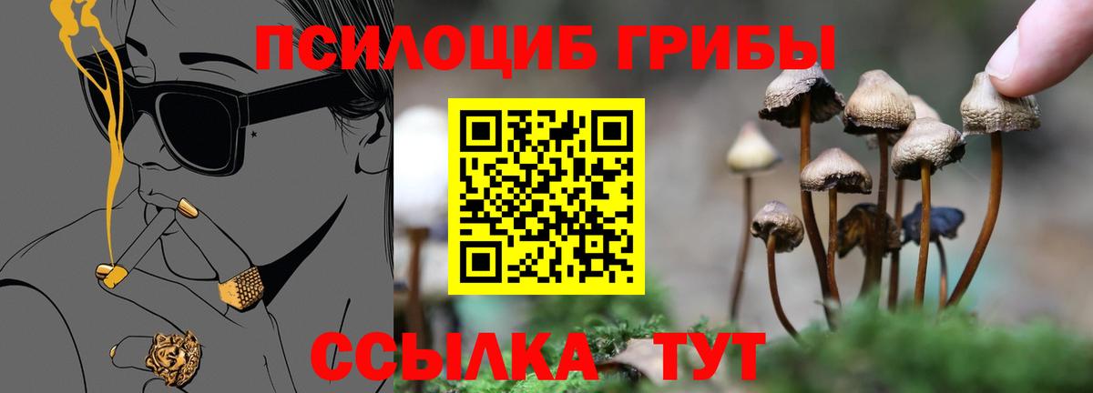 купить  сайты  Псилоцибиновые грибы ЛСД  Вход с VPN  Ипатово 
